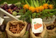 Leis e princípios ecológicos e de conservação de recursos naturais constituem parte integrante da agricultura orgânica. Leis e princípios ecológicos e de conservação de recursos naturais constituem, parte integrante da agricultura orgânica.