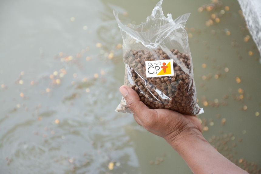 Criação comercial de peixes ornamentais: proteínas e aminoácidos Artigos CPT Criação comercial de peixes ornamentais: proteínas e aminoácidos Artigos CPT