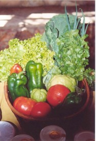 Um dos produtos da granja era a cestinha da roça coposta por hortaliças, entregue de porta em porta. Um dos produtos da granja era a cestinha da roça coposta por hortaliças, entregue de porta em porta.
