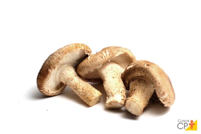 Quais alimentos contêm vitamina D? Quais alimentos contêm vitamina D?