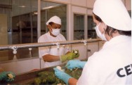 A adoção de novas técnicas pelos produtores rurais envolvem investimentos financeiros devendo estar garantida pela certeza de seus resultados. A adoção de novas técnicas pelos produtores rurais envolvem investimentos financeiros devendo estar garantida pela certeza de seus resultados.