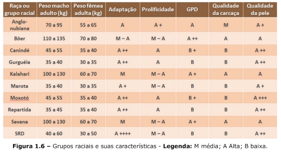 Grupos raciais e suas características indicados para o nordeste brasileiro