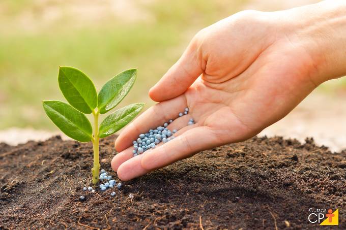 Quais as vantagens dos fertilizantes de liberação progressiva?