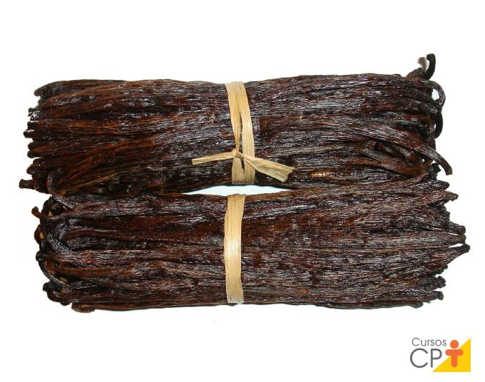 Você sabe como cultivar baunilha? Você sabe como cultivar baunilha?