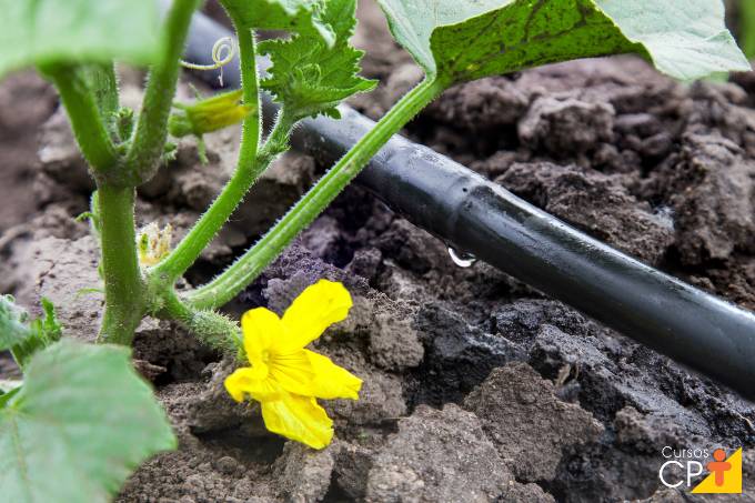 Como tornar o sistema de irrigação mais eficiente?