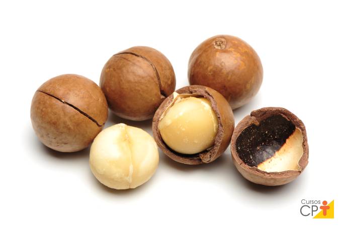 Top 7 oleaginosas benéficas para a saúde Top 7 oleaginosas benéficas para a saúde