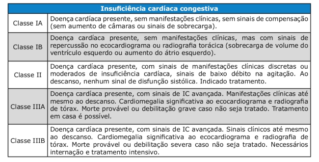 Insuficiência cardíaca congestiva em cães e gatos   Artigos CPT