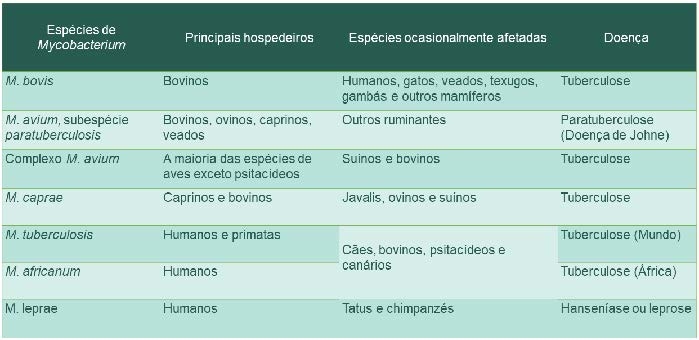 Principais enfermidades causadas pelo complexo de micobacterioses do gênero Mycobacterium - Parte 1 Principais enfermidades causadas pelo complexo de micobacterioses do gênero Mycobacterium - Parte 1