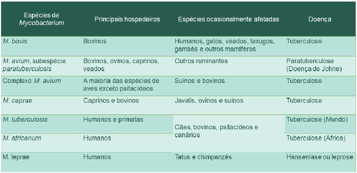 Principais enfermidades causadas pelo complexo de micobacterioses do gênero Mycobacterium - Parte 1