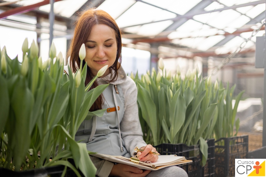 Vai montar uma floricultura? Aqui 14 conselhos úteis   Artigos CPT