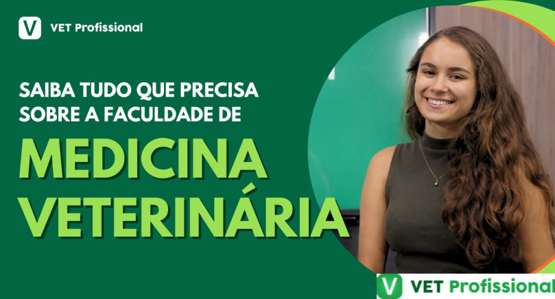 Medicina Veterinária: tudo o que você precisa saber sobre o curso, a ...