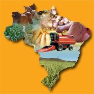 O mundo inteiro está de olho no Brasil porque já sabe que somos um dos principais produtores/exportadores de alimentos. O mundo inteiro está de olho no Brasil porque já sabe que somos um dos principais produtores/exportadores de alimentos.
