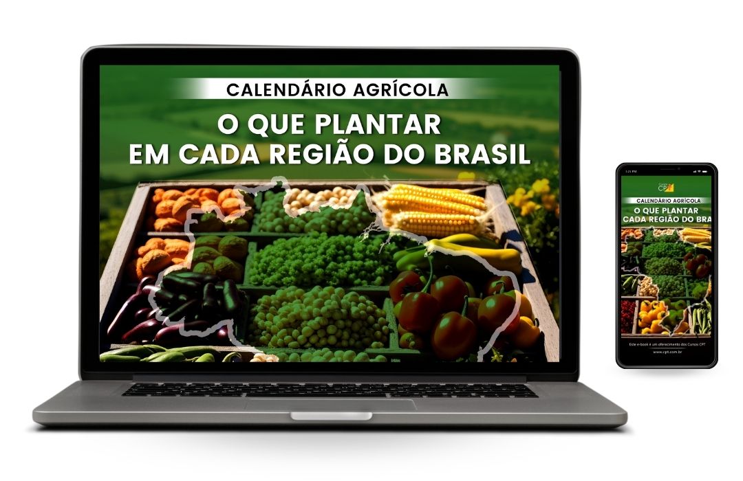 Calendário agrícola brazil 6