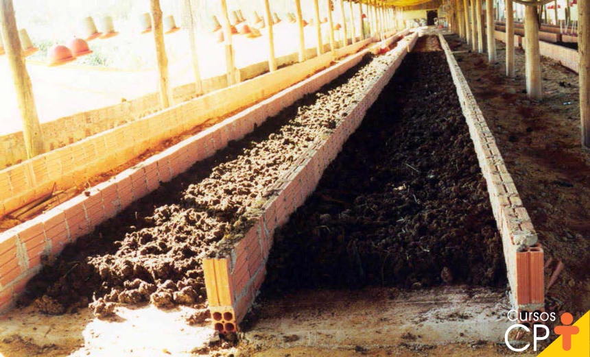 O que é um minhocário e como montar o seu?