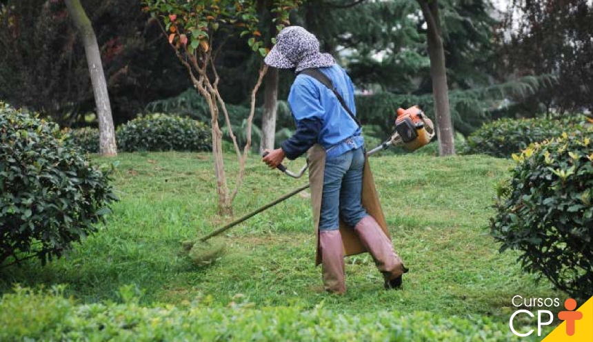 Como se tornar um jardineiro de sucesso | Cursos a Distância CPT