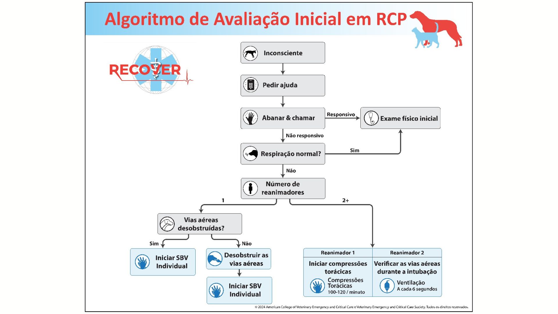 RECOVER 2024: Atualizações nas Diretrizes de Ressuscitação ...