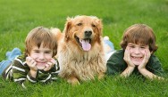 As crianças declararam serem mais felizes com a convivência com os bichos de estimação. Foto: reprodução/Uol.