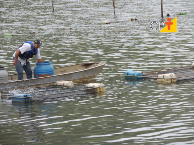 Criação de peixes