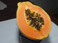 A partir do início da década de 70, com a introdução do chamado mamão papaya, conhecido também como mamão Havaí, houve a expansão dessa cultura no Brasil Produção de mamão
