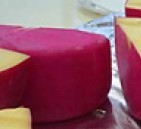 O queijo do Reino apresenta uma tonalidade mais amarelada, uma consistência mais firme e sabor mais picante Produção do queijo do Reino