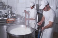 Quando se fala em higiene na produção de leite, deve-se considerar particularmente as sujidades físicas visíveis a olho nu, pois, do ponto de vista bacteriológico, são estas sujidades as responsáveis pelo início de toda contaminação do leite Queijo de leite de cabra