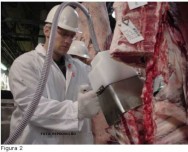 Em função da competitividade do mercado e da necessidade em se produzir carne de qualidade, o uso de tecnologias no sistema de produção torna-se fundamental Tipificação de carcaça