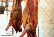 O conceito de característica almejada da carcaça compreende o máximo de músculo, mínimo de osso e quantidade adequada de gordura Tipificação de carcaça