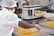 Muitos trabalhos com desidratação de alimentos estão sendo realizados, despontando como excelente alternativa para a redução das perdas na agricultura. frutas desidratadas