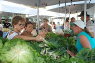 comercialização de produtos agrícolas