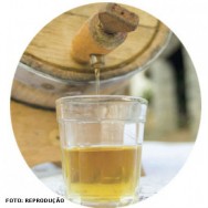 A cana-de-açúcar é utilizada para produzir o açúcar, o álcool, aguardente, forragem, além de subprodutos, como o bagaço cana-de-aúcar