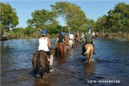 profissionais para o turismo rural