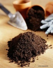 O uso eficiente de fertilizantes começa com a correção do solo, principalmente de sua acidez (calagem) adubação