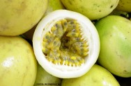 É fonte de vitaminas A, C e do complexo B. Além disso, apresenta boa quantidade de sais minerais (ferro, sódio, cálcio e fósforo) MARACUJA