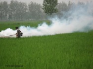 A aplicação de defensivos agrícolas nas lavouras, com o auxílio do pulverizador, é de fundamental importância para a agricultura PULVERIZAÇÃO AGRÍCOLA