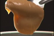 O doce de leite é um importante alimento produzido e comercializado, principalmente, na Argentina e no Brasil Doce de leite