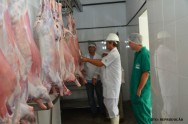 A implantação de um abatedouro pode ser vantajosa, principalmente pela possibilidade de utilização para outras espécies animais abatedouro de caprinos