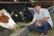 Para a produção de leite em confinamento, os volumosos são os mesmos, destacando-se as silagens, os fenos e os pré-secados vaca leiteira
