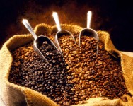 Como produto agrícola, o café é um dos mais consumidos em todo o mundo, representando um negócio que movimenta muito dinheiro e emprega milhões de pessoas CAFE