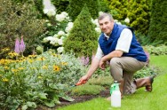 Um bom jardineiro deve escolher as ferramentas com cuidado, pois estas servirão não somente na implantação do jardim, como também serão utilizadas na manutenção deste 