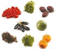 Mini legumes Mini legumes