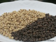 Pimenta preta: resulta de frutos colhidos completamente desenvolvidos, de coloração verde-clara ou amarelada e secos ao sol ou em secador artificial pimenta do reino