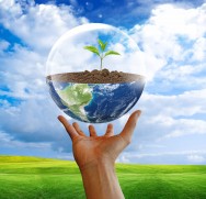 Meio ambiente Para cada ser vivo que habita o planeta existe um espaço ao seu redor com todos os outros elementos e seres vivos que com ele interagem, por meio de relações de troca de energia.