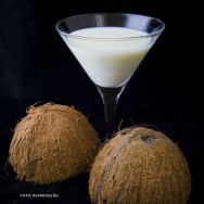 O suco de certas plantas ou frutos também se denomina leite. Entre eles, destacam-se: leite de coco, leite de soja, de arroz ou de amêndoa TIPOS DE LEITE