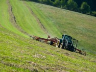 A exploração agrícola vai desde a limpeza e preparo do solo para o plantio até operações de manejo da cultura, colheita, transporte, e armazenamento acidente de trabalho rural