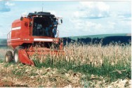 Transporte de pessoas em implementos e máquinas agrícolas só pode ser permitido se estes possuírem um lugar específico e que ofereça segurança acidente de trabalho rural