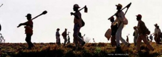 Acidente de trabalho rural Acidente de trabalho rural