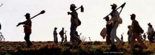 Acidente de trabalho rural