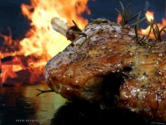 Desde 1998, a carne de cordeiro começou a ganhar espaço no mercado consumidor. No começo foram apenas restaurantes e hotéis, depois, cantinas, churrascarias e bares criação de ovinos