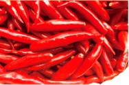 processamento de pimentas A produção de pimentas de boa qualidade é fundamental para o processamento de produtos de qualidade e a sua produção é, relativamente, simples.