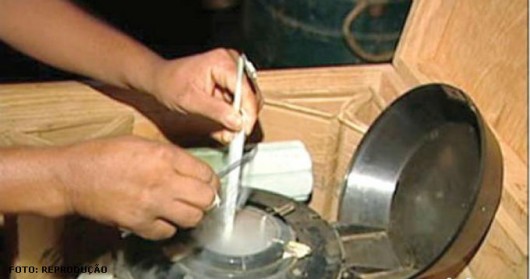 A inseminação artificial é a biotecnologia mais aplicada na reprodução animal INSEMINAÇÃO ARTIFICIAL GADO DE LEITE